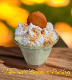 Seaside Siren Venice